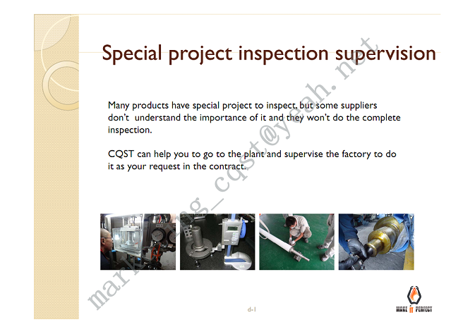 SPECIAL PROJECT INSPECTION